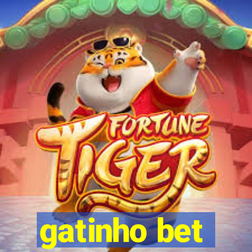 gatinho bet